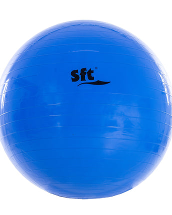 PELOTA GIGANTE SOFTEE 1