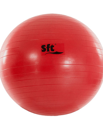 PELOTA GIGANTE SOFTEE FLEXI 1