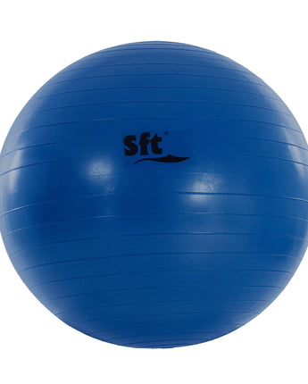 PELOTA GIGANTE SOFTEE FLEXI 2